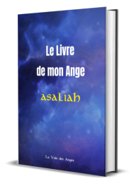 Le Livre de mon Ange