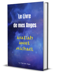 Le Livre de mon Ange