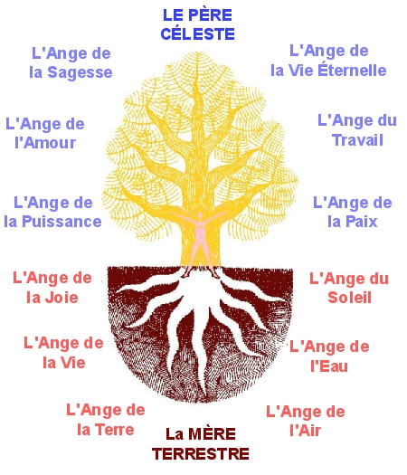 L'arbre de vie des esséniens